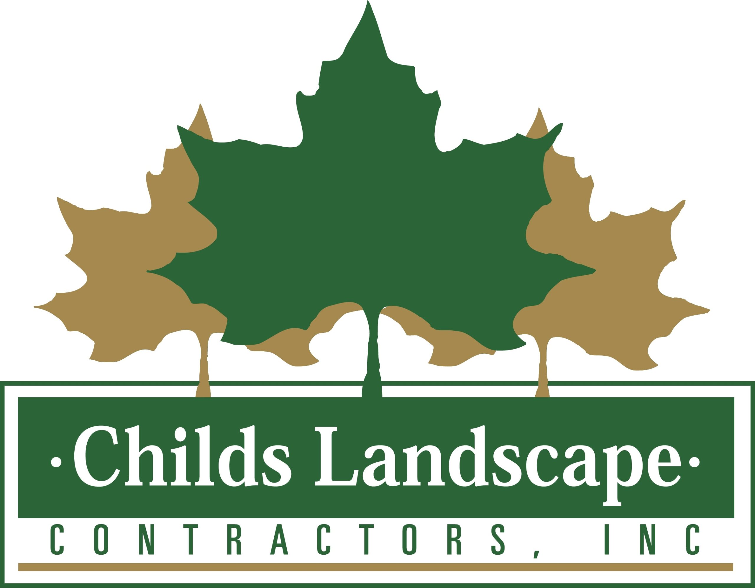 Childs Landscape